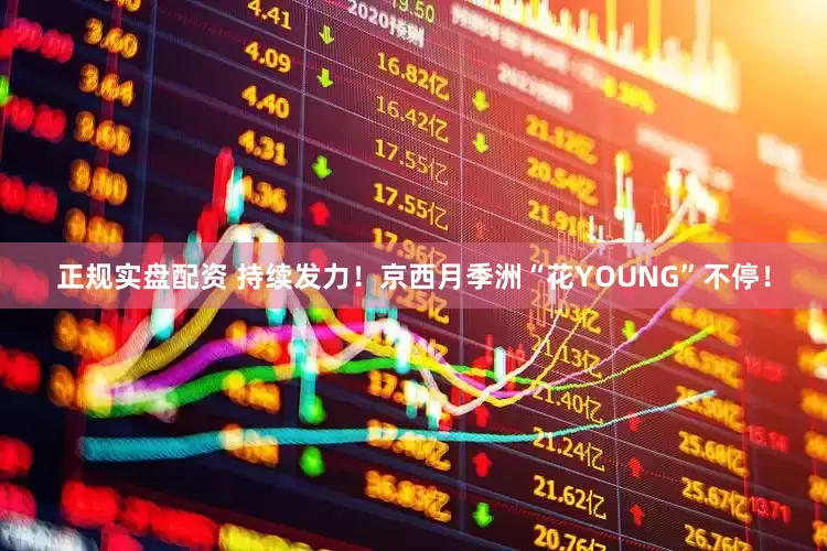 正规实盘配资 持续发力!京西月季洲“花YOUNG”不停!