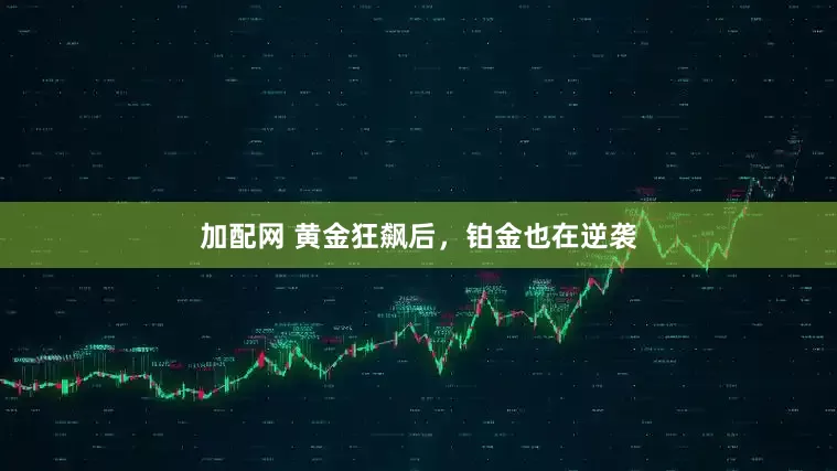 加配网 黄金狂飙后，铂金也在逆袭