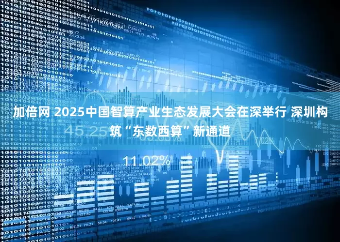 加倍网 2025中国智算产业生态发展大会在深举行 深圳构筑“东数西算”新通道