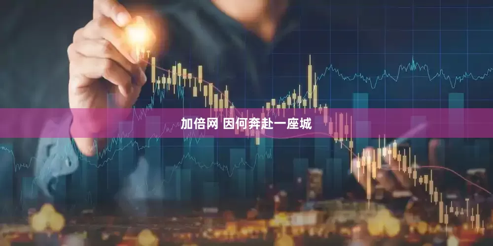 加倍网 因何奔赴一座城