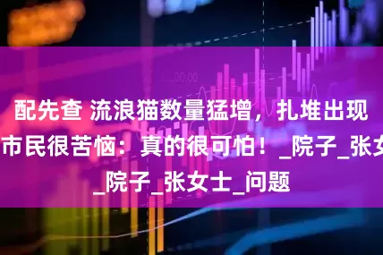 配先查 流浪猫数量猛增，扎堆出现！台州一市民很苦恼：真的很可怕！_院子_张女士_问题