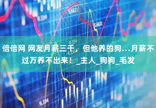 倍倍网 网友月薪三千，但他养的狗…月薪不过万养不出来！_主人_狗狗_毛发