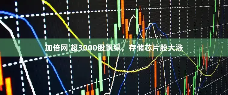加倍网 超3000股飘绿,存储芯片股大涨